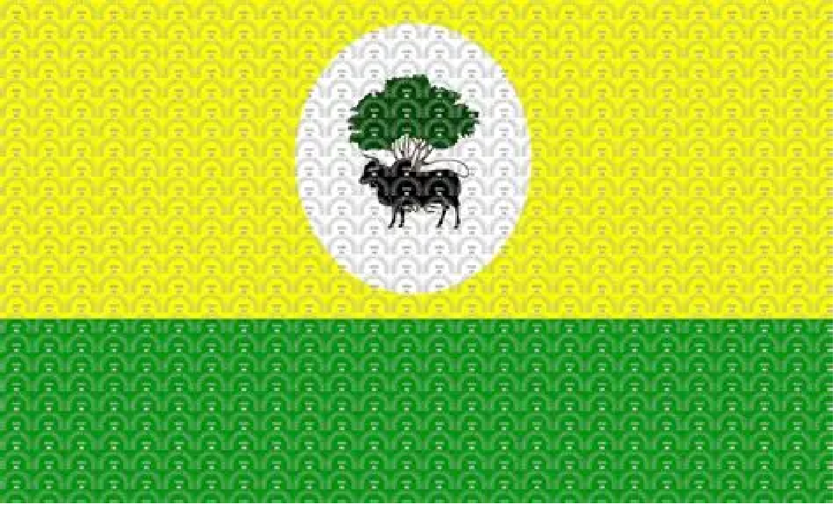 Calçado